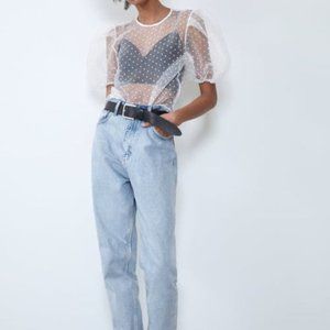 Zara Polka Dot Organza Puff Sleeve Blouse